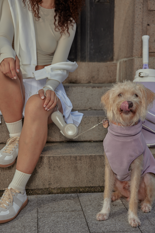Correas retráctiles para perros y gatos: guía para elegir la mejor y pasear con seguridad