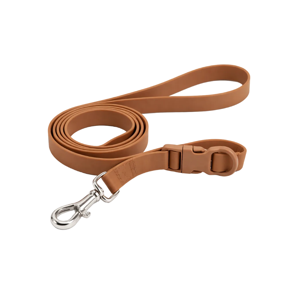 Correas para perro y gato