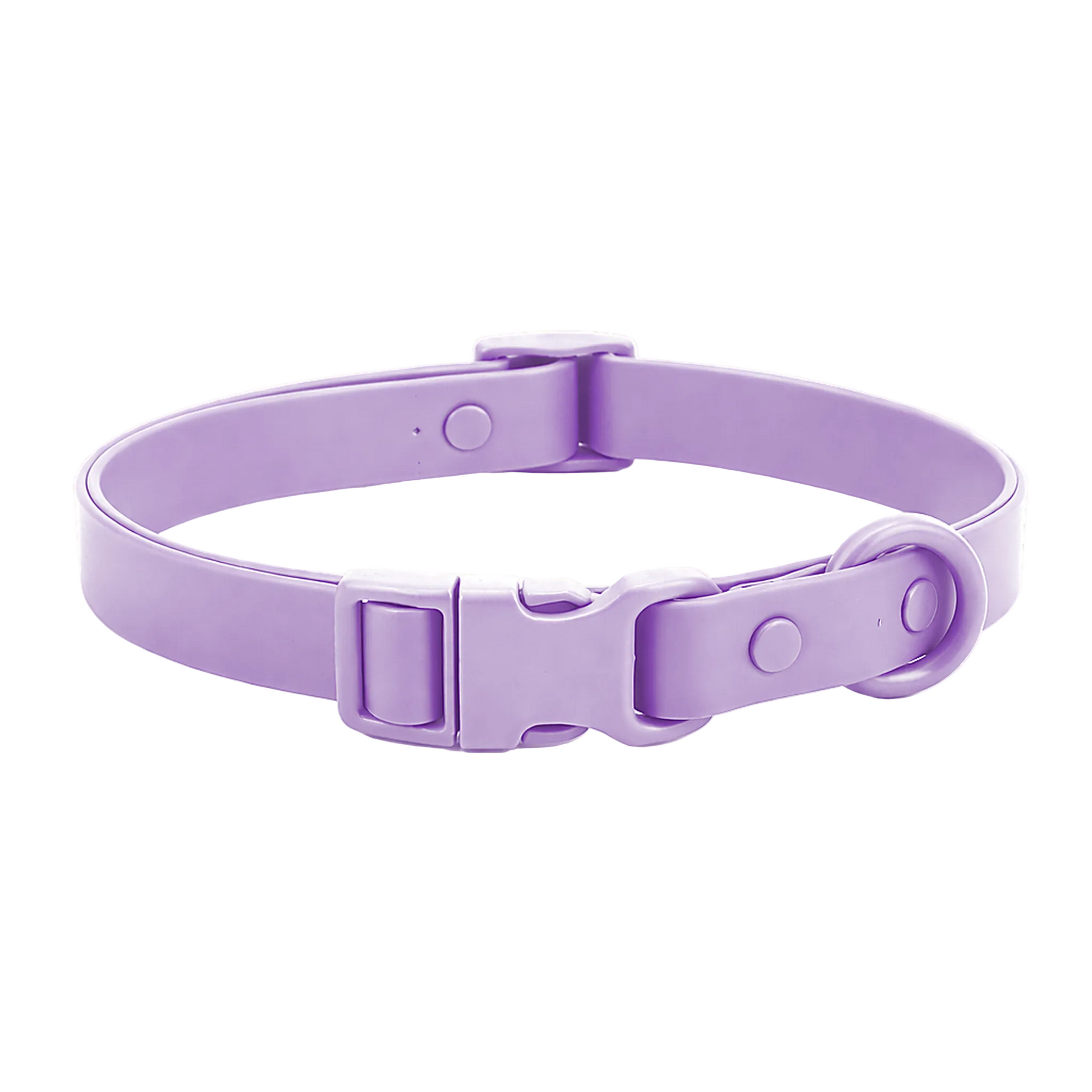 Collar impermeable de PVC lila para perro Petelier