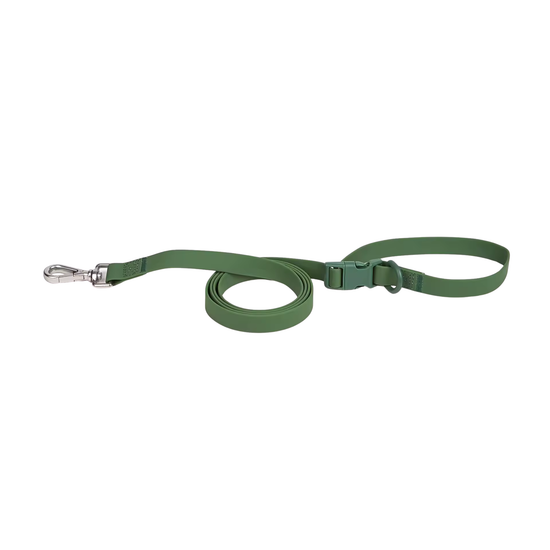 Correa impermeable de PVC verde para perro Petelier