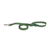 Correa impermeable de PVC verde para perro Petelier