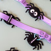 Charm de araña para perro y gato