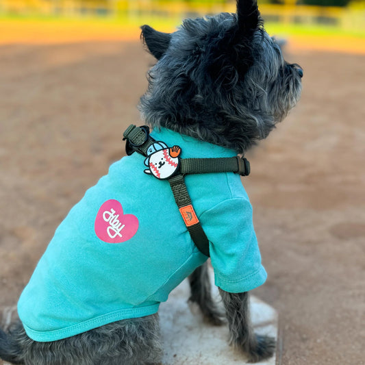 Charm de béisbol para perro y gato