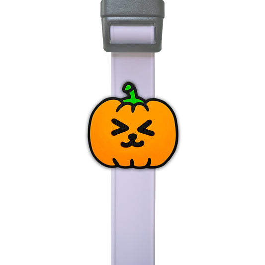 Charm de calabaza para perro y gato