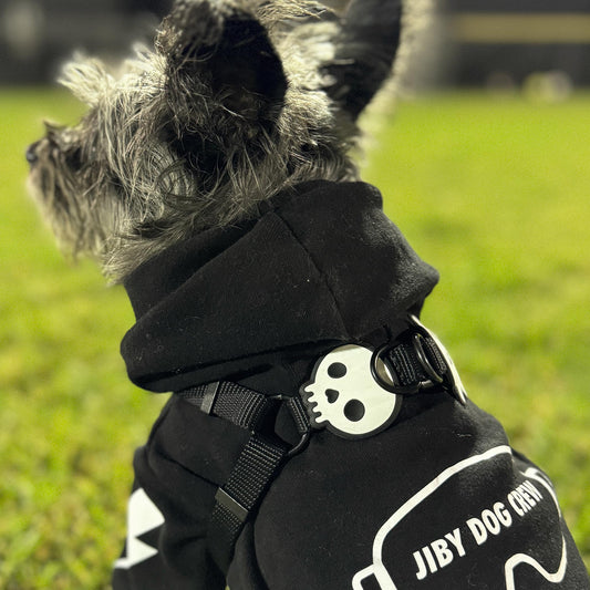 Charm de calavera para perro y gato
