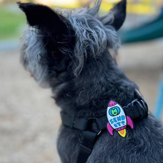 Charm de cohete para perro y gato