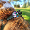 Charm de cumpleaños para perro y gato