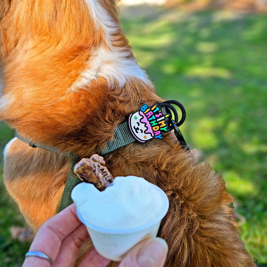 Charm de cumpleaños para perro y gato