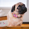 Charm de dona para perro y gato