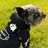 Charm de fantasma para perro y gato