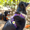 Charm de flor para perro y gato