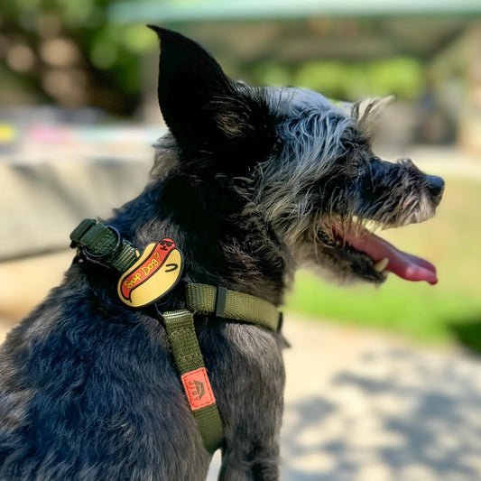 Charm de hot dog para perro y gato
