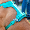 Charm de ola para perro y gato