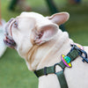 Charm de OVNI para perro y gato
