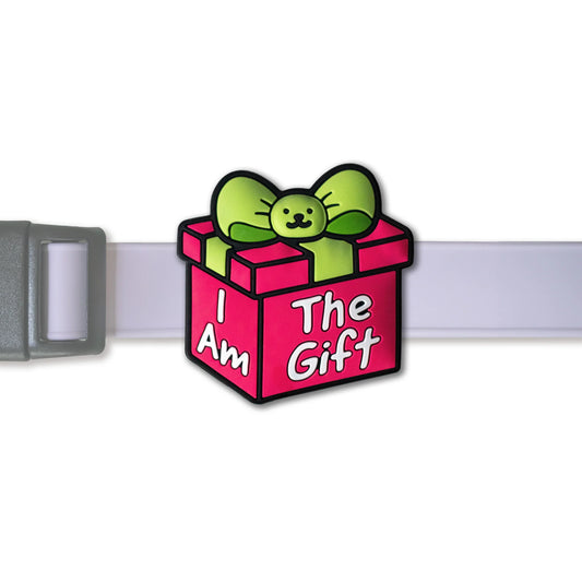 Charm de regalo navideño para perro y gato