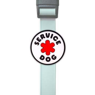 Charm Service Dog para perro
