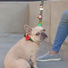 Charm de Santa Claus para perro y gato