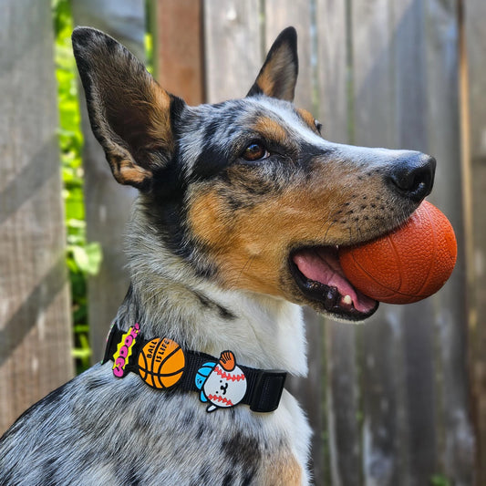 Charm de basketball para perro y gato