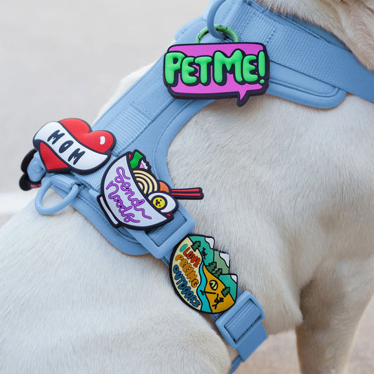 Charm de hiking para perro y gato