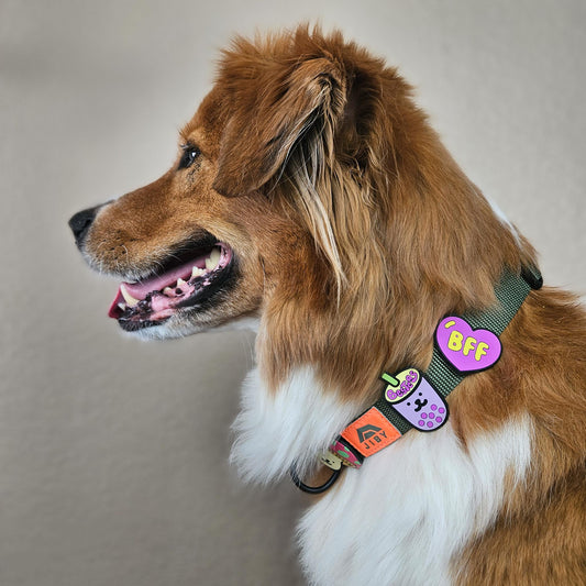 Charm de Boba Tea para perro y gato