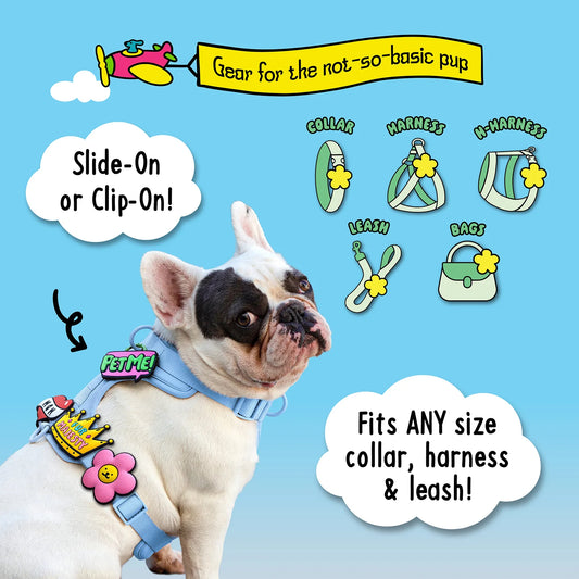 Charm de amor y paz para perro y gato