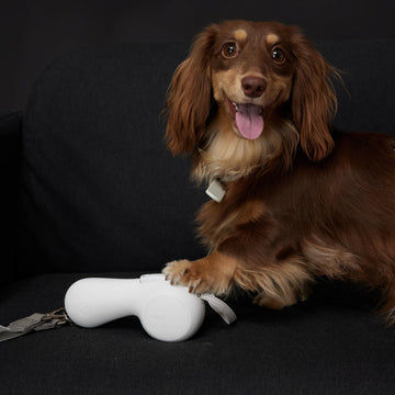 <em>¿Ya nos sigues</em> <strong>en Instagram?</strong>